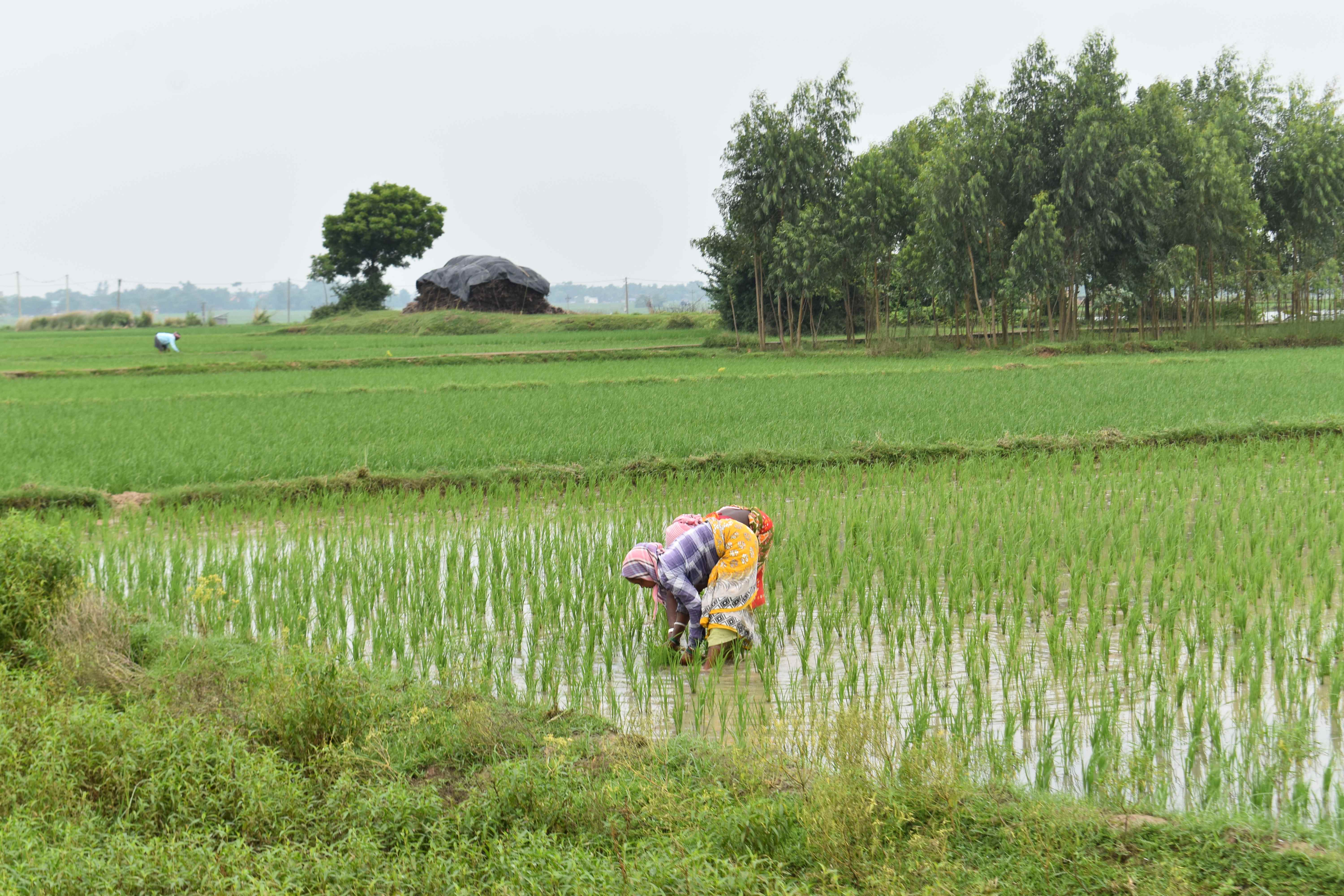 Our Borrowers & Co-Borrowers